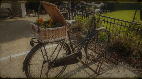 Oude fiets met een mand bloemen